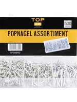 Cantonal Assortiment popnagels 500 delig