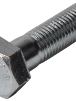 Cantonal Zeskantbout M16x55 mm