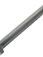 Cantonal Zeskanttapbout M10x100