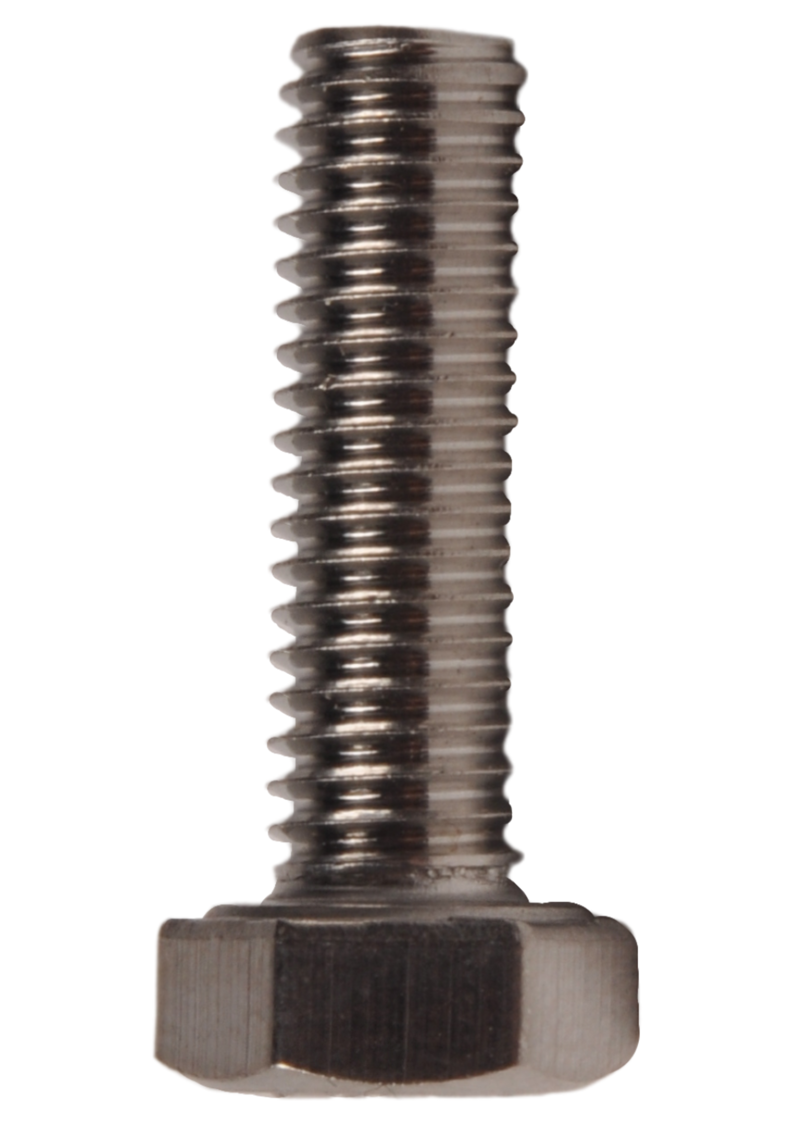 Cantonal Zeskanttapbout RVS M5x16 mm