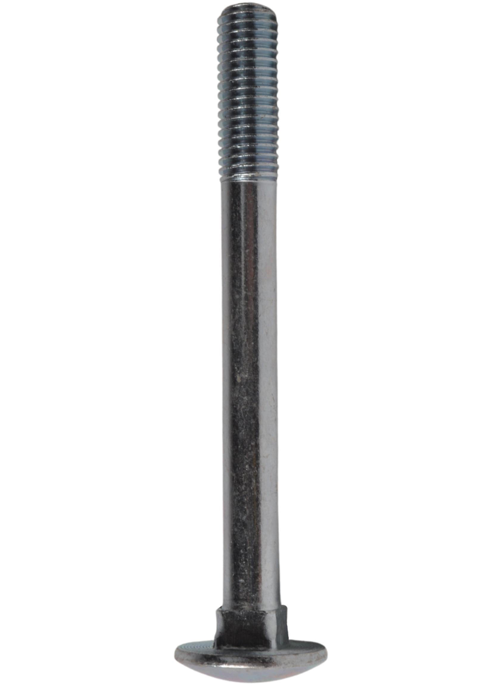 Cantonal Slotbout M10 x 100 mm