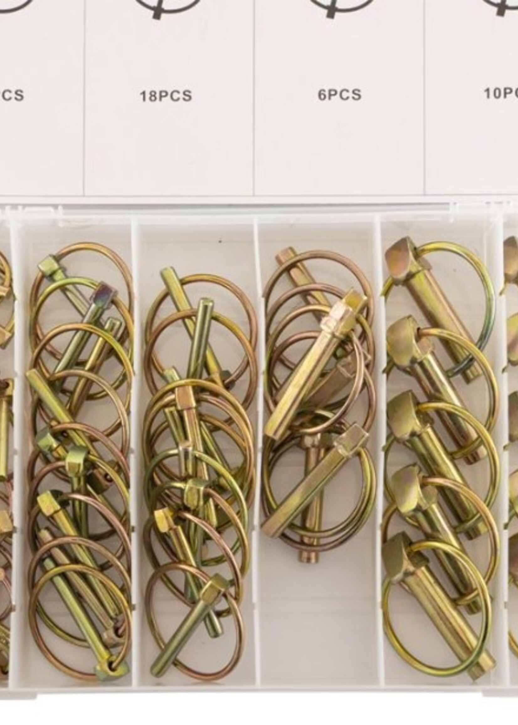 Cantonal Assortiment borgpennen 50-delig