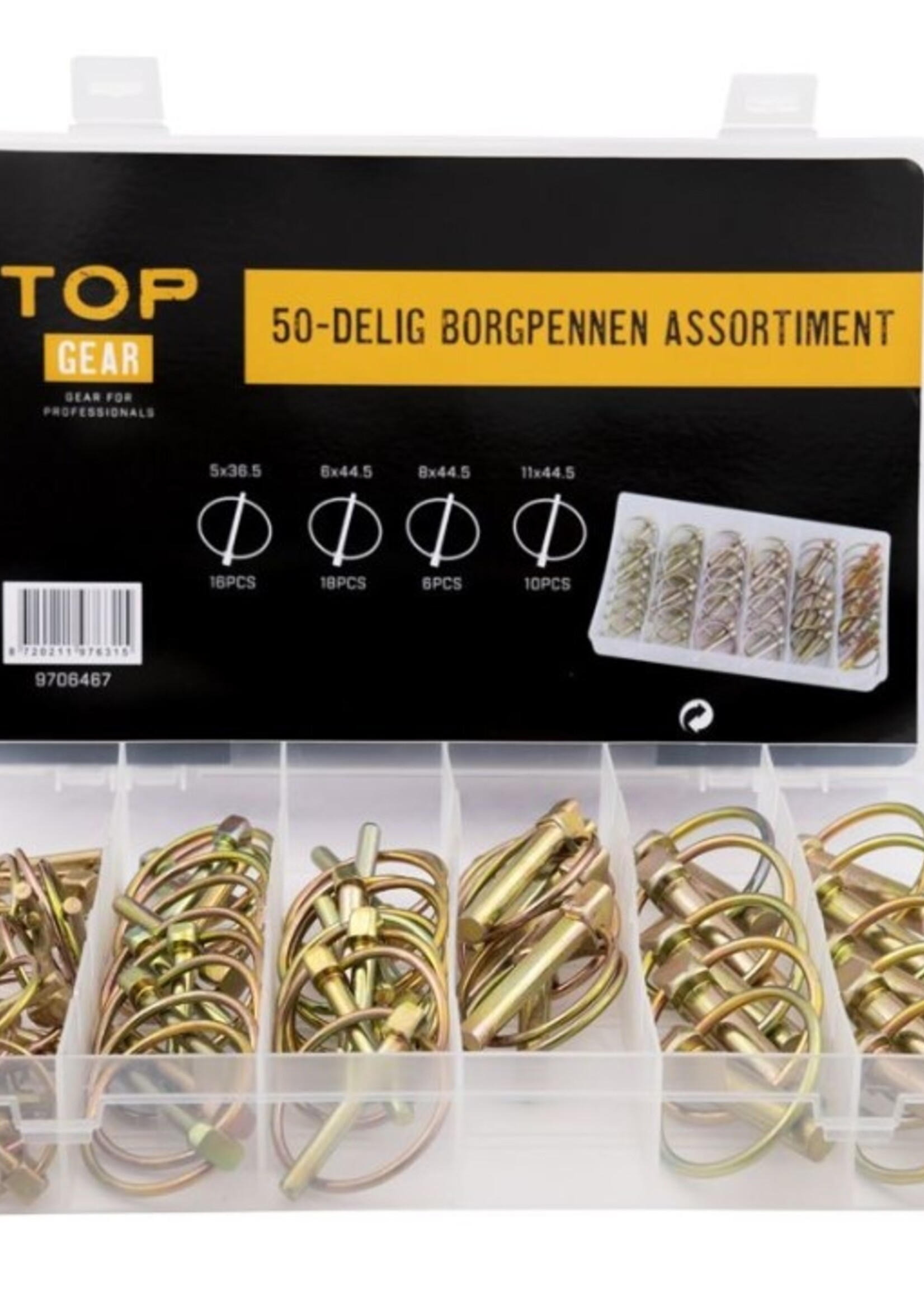 Cantonal Assortiment borgpennen 50-delig