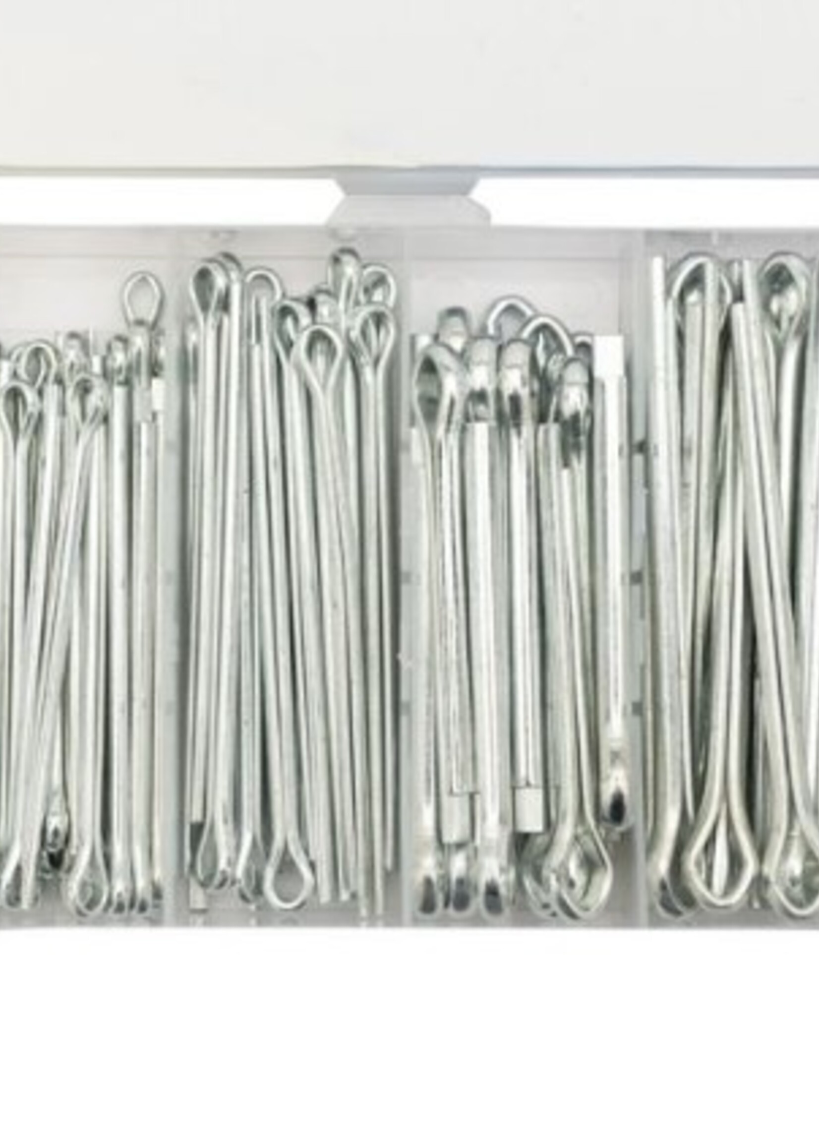 Cantonal Assortiment splitpennen 144-delig