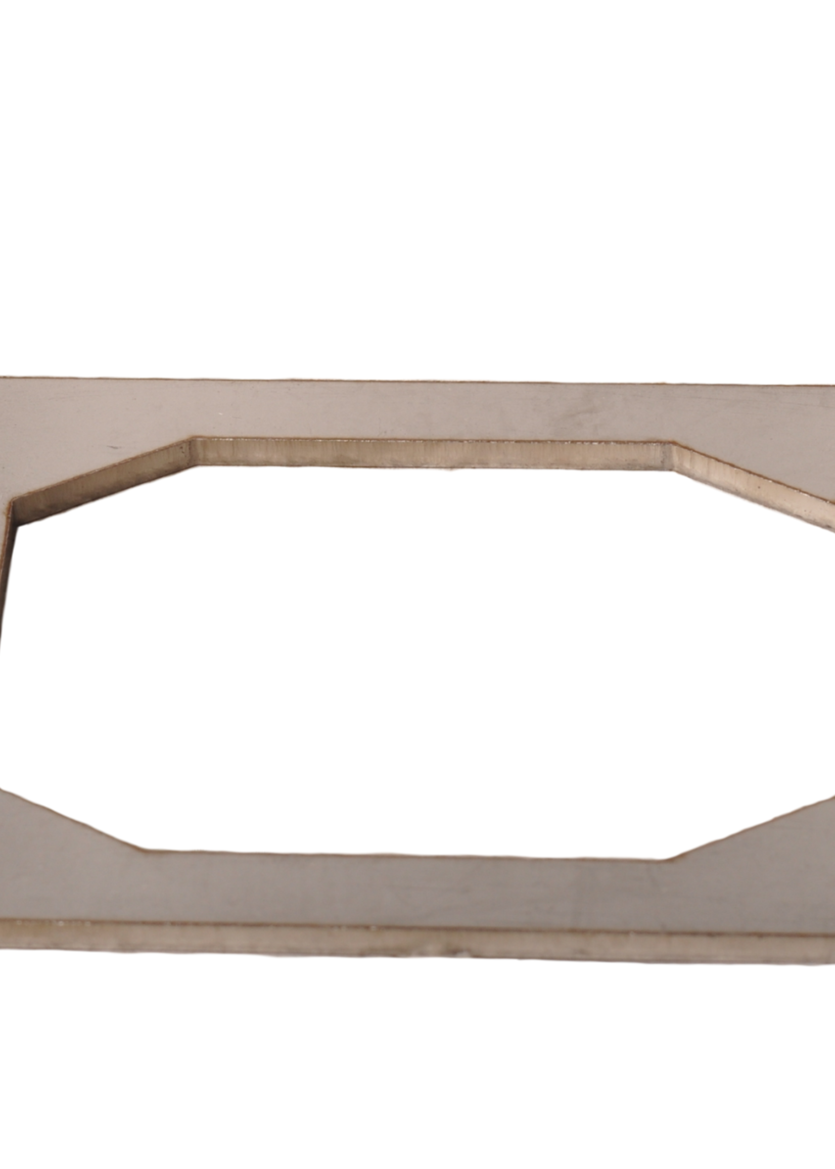 Cantonal Beschermrek Aspöck Flexipoint - Geschikt voor Flexipoint achterlichten - RVS - 130x64x27 mm