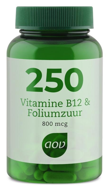 Vochtigheid Sympathiek veronderstellen Vitamine B12 en Foliumzuur 250 - Gezondeshop