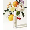 Molecular Botanics Night Recovery Cream