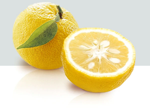 Yuzu