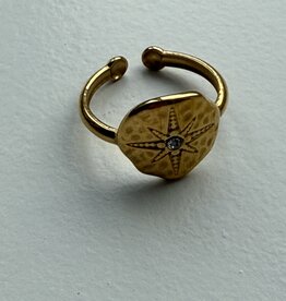 MIEQ MIEQ's ring met cirkonia