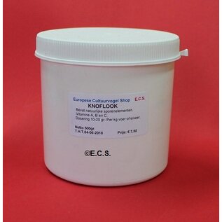 Garlic powder ECS 500gr