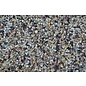 Stieglitz, Zeisig Extra-