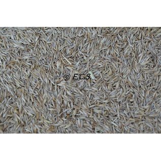 Grass seeds ECS Special