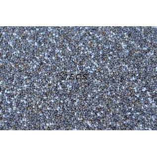 1 kg Chia (Salvia hispanica)