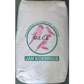 Kapoetsensijzen Koenings