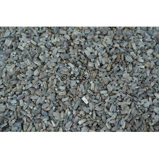 1kg Thistle Seed / Kaardebol FINE VARIANT
