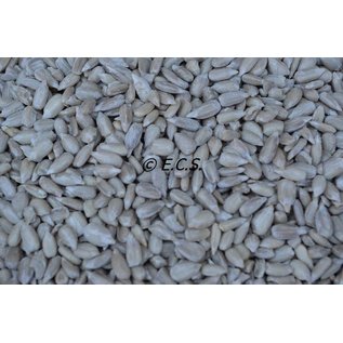 1kg Shelled Sunflower Seeds