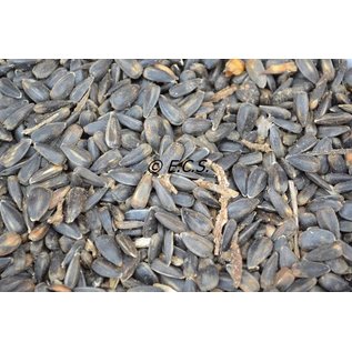 1kg Sunflower Black Extra Kleuin