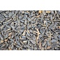1kg Sunflower Black Extra Kleuin