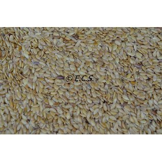 1kg Linseed Yellow
