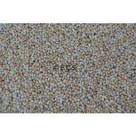 1 kg Hirse La Plata