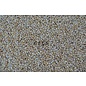 1kg Millet La Plata