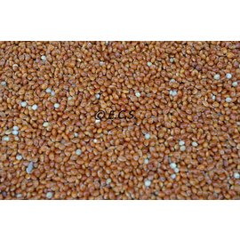 1kg Millet Rood