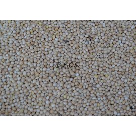 1kg White Millet