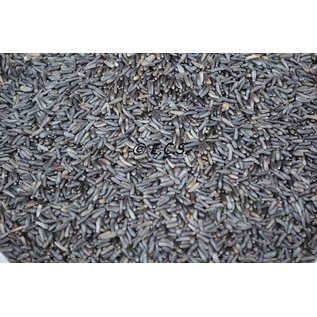 1kg Niger seed germination quality