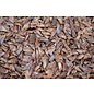 1kg Spruce Seeds Fine Soft