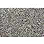 1kg Parsley Seed