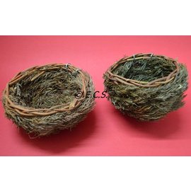 Pine Nest mit Haken