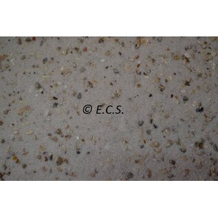 Shells Sand White mit Anis