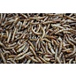 Ecs Dried mealworms