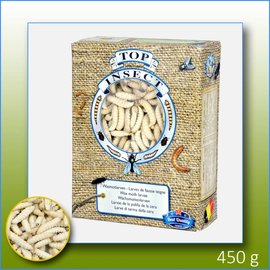 Top insect DIEPVRIES ALLEEN IN DE WINKEL VERKRIJGBAAR!!!!!!! Top Insect Wax Moth larvae