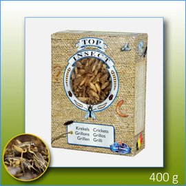 Top insect DIEPVRIES ALLEEN IN DE WINKEL VERKRIJGBAAR!!!!!!! Top Insektengrillen