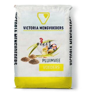 Victoria Victoria Chick rearing flour 1 universal