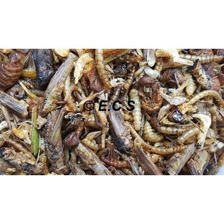 Anipro Dried Insect mix