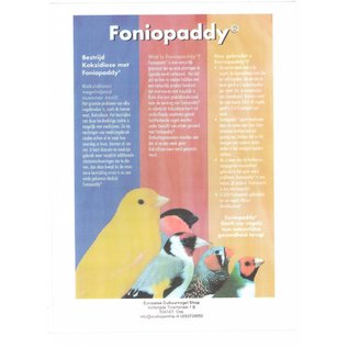 1kg Foniopaddy