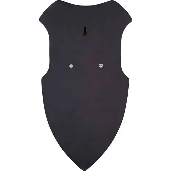 Universele wandplaat