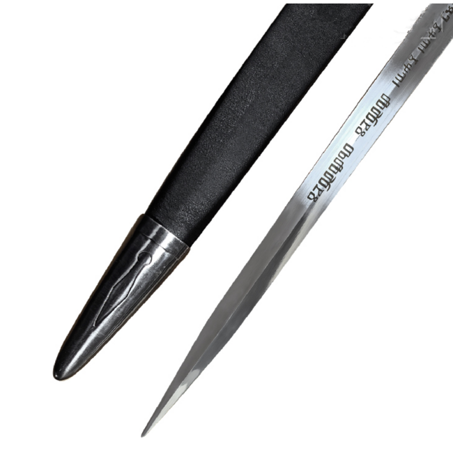 Witcher 4 Ciri zwaard