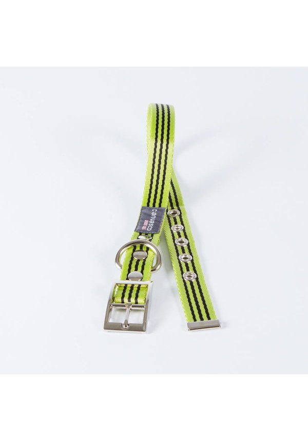 Canvasco Urban Dogs Halsband 'Frida' Groen 25mm