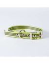 Canvasco Urban Dogs Halsband 'Frida' Groen 25mm