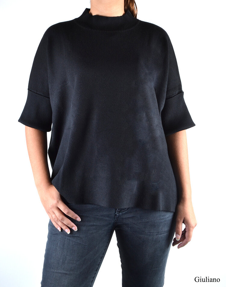 Rollkragenpullover | 610001