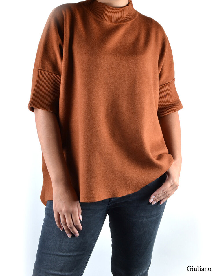 Rollkragenpullover | 610001