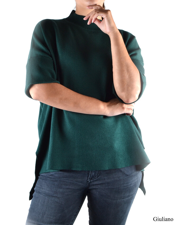 Rollkragenpullover | 610001