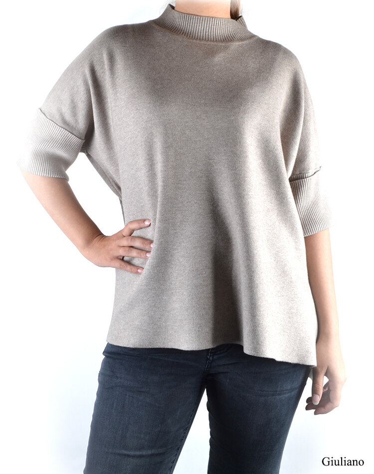 Rollkragenpullover | 610001