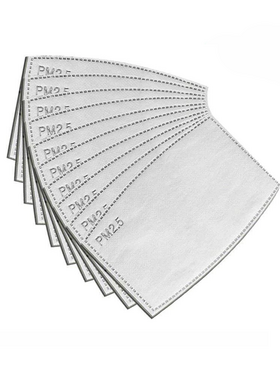 PM2.5 Filter - 10 Stück
