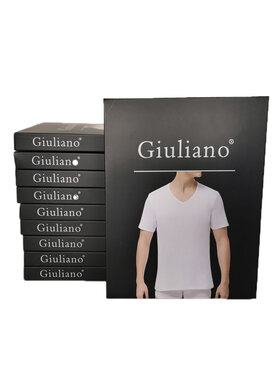 Giuliano Basic Heren T-shirt | V-Hals | 10 PACK
