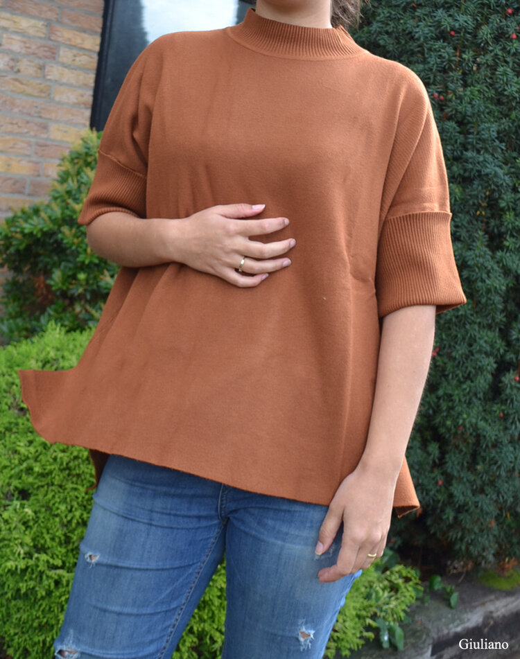 Rollkragenpullover | 610001