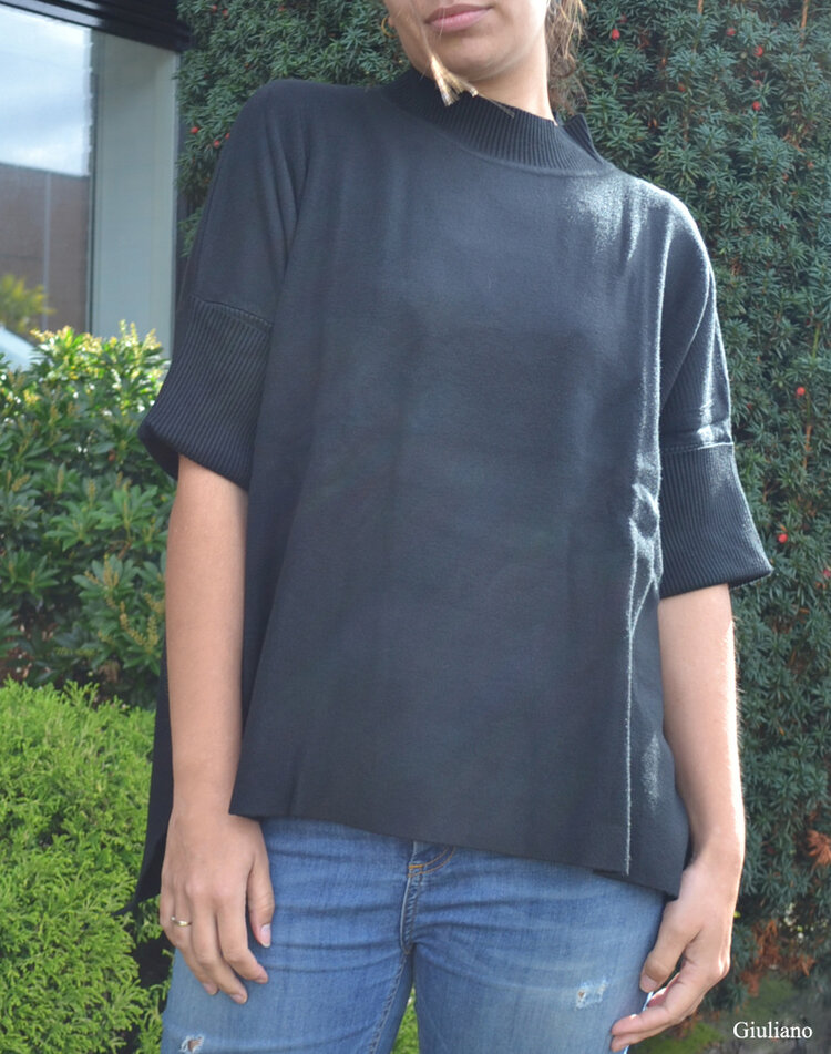 Rollkragenpullover | 610001
